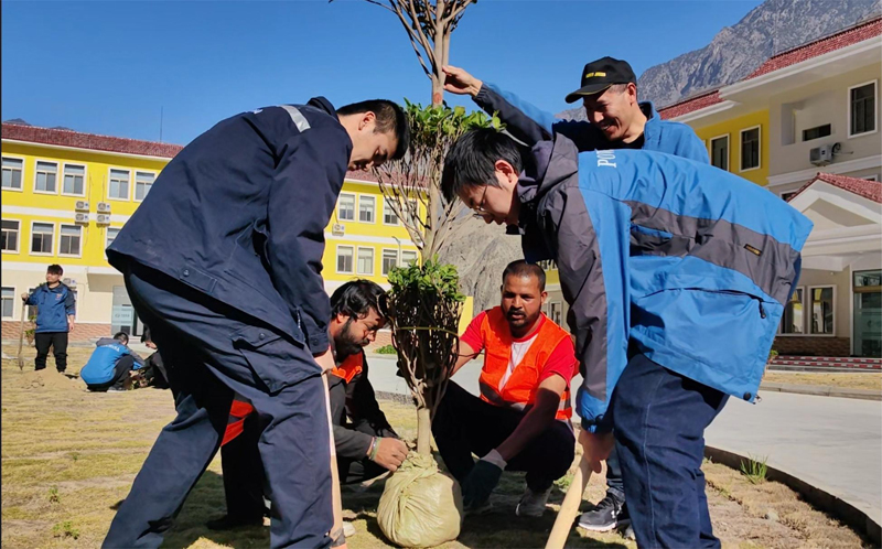 植树节绿化活动2.jpg