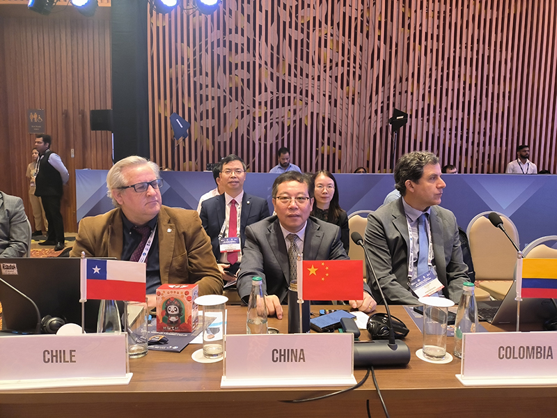 2.中国大坝工程学会副理事长兼秘书长汪小刚代表中国投票.jpg